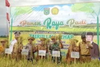 Bupati Zairullah Hadiri Panen Raya Padi di Desa Manurung Kusan Tengah