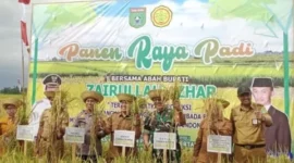 Bupati Zairullah Hadiri Panen Raya Padi di Desa Manurung Kusan Tengah
