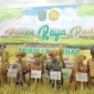 Bupati Zairullah Hadiri Panen Raya Padi di Desa Manurung Kusan Tengah
