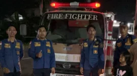 Petugas Damkar Simpang Empat Berhasil Evakuasi Sarang Tawon di Desa Kupang Berkah Jaya