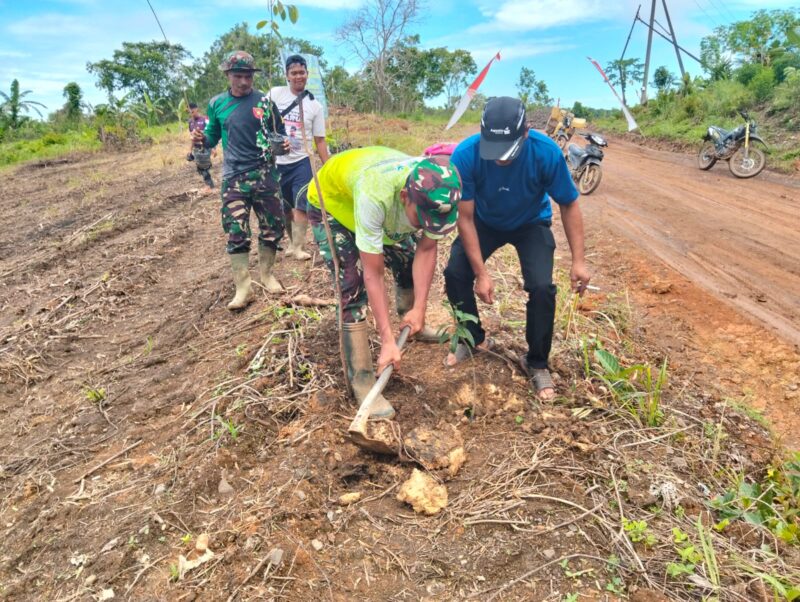 Satgas TMMD ke-123 Kodim 1004/Kotabaru Tanam Pohon Bersama Masyarakat Desa Talusi
