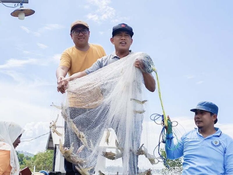 Dorong Ketahanan Pangan, Bupati Kotabaru Fokuskan Program 100 Hari pada Budidaya Udang
