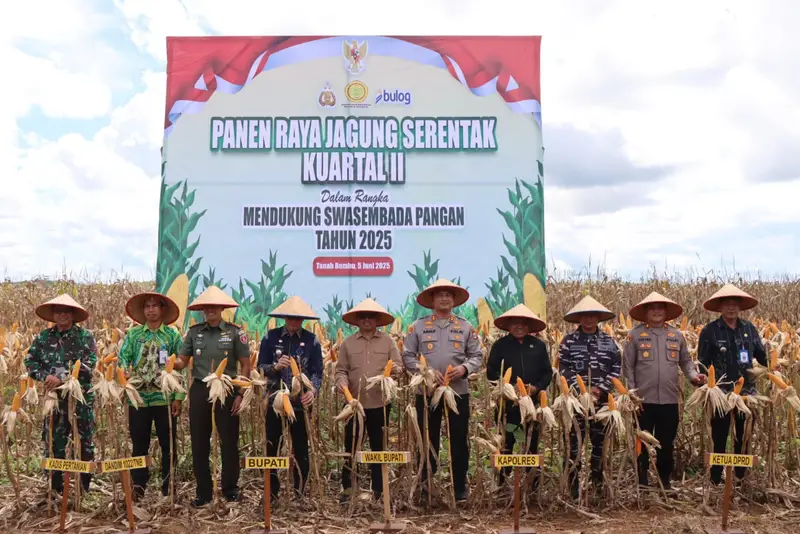 H. Hasanuddin Hadiri Panen Raya Jagung Serentak di Tanah Bumbu: Dorong Swasembada Pangan dan Gebrakan Ekspor 1.200 Ton