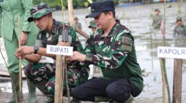 Peringati HUT Ke-67 Kodam VI/Mulawarman, Tanam Mangrove di Kawasan Pesisir Tanah Bumbu
