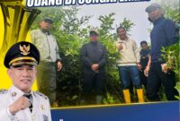 Bupati Kotabaru Tinjau Rencana Tambak Udang Percontohan: Dorong Ketahanan Pangan dan Ekonomi Pesisir