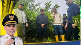 Bupati Kotabaru Tinjau Rencana Tambak Udang Percontohan: Dorong Ketahanan Pangan dan Ekonomi Pesisir