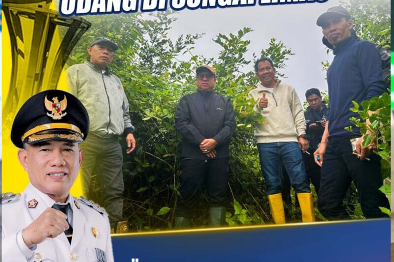 Bupati Kotabaru Tinjau Rencana Tambak Udang Percontohan: Dorong Ketahanan Pangan dan Ekonomi Pesisir