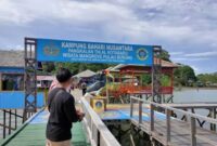 Perjuangan Panjang DPRD Berbuah Hasil, Listrik PLN Masuk Pulau Burung Tanah Bumbu