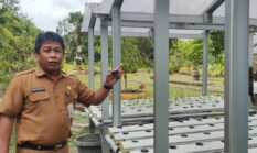BBTPH Kalsel Kembangkan Inovasi Hidroponik untuk Pembenihan Cabai dan Tomat