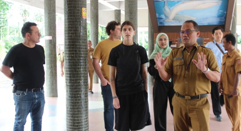 foto slider headline