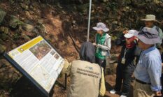 Geopark Meratus Kembangkan Model Ekonomi Berkelanjutan, Lahan Bekas Tambang Disulap Jadi Potensi Baru