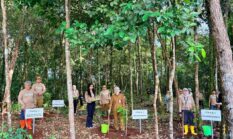 Pemprov Kalsel Dorong Gerakan Penghijauan pada Penanaman Pohon HUT ke-43 BPKP