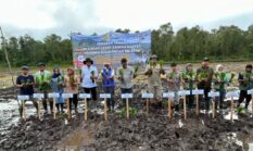 Gerakan Tanam Padi di Sungai Tabuk, DPKP Kalsel Dukung Percepatan Swasembada Pangan