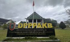 Tingkatkan Kesadaran Masyarakat, DP3AKB Kalsel Tekankan Pencegahan Stunting Dimulai Sebelum Hamil