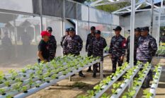 Perkuat Ketahanan Pangan, TNI AL Bersama DPKP Kalsel Kembangkan Pertanian Terpadu