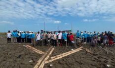 Dislautkan Kalsel Jaga Kelestarian Ekosistem Pasir dengan Rehabilitasi Mangrove di Takisung